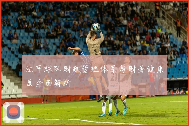 法甲球队财政管理体系与财务健康度全面解析