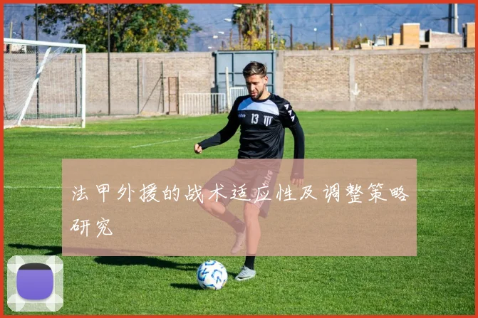 法甲外援的战术适应性及调整策略研究