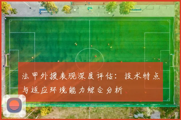 法甲外援表现深度评估：技术特点与适应环境能力综合分析