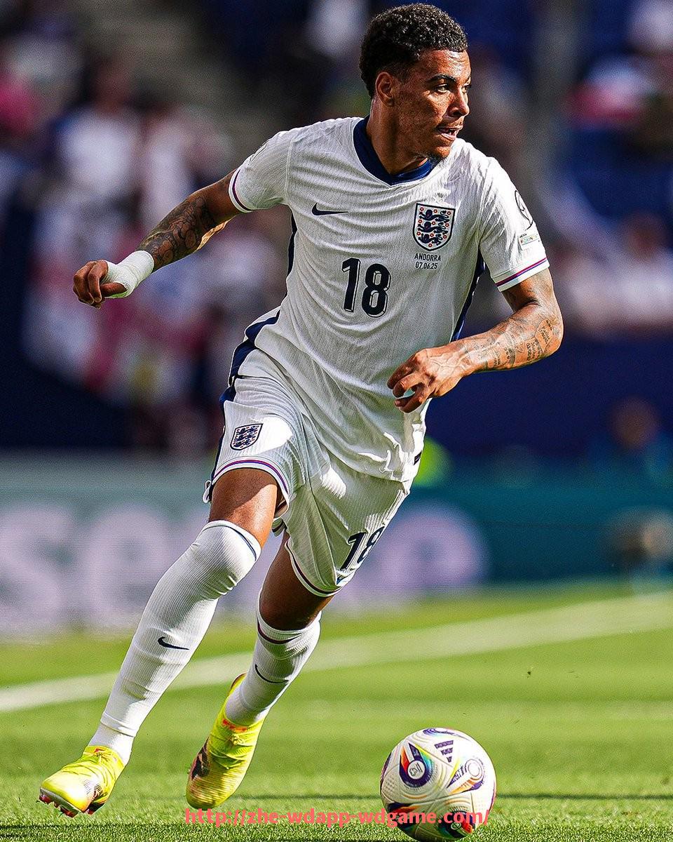 问鼎娱乐官网-世俱杯场馆设计理念与赛事承办标准详细介绍